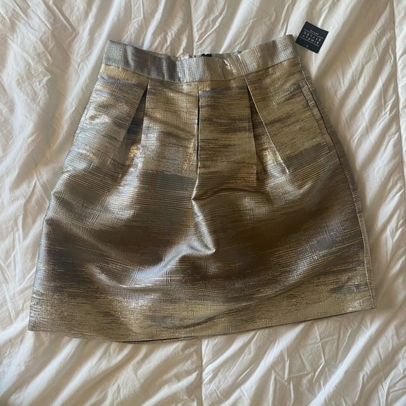 Simply Styled Silver and Gold Skirt🛍 - Picture 1 of 3